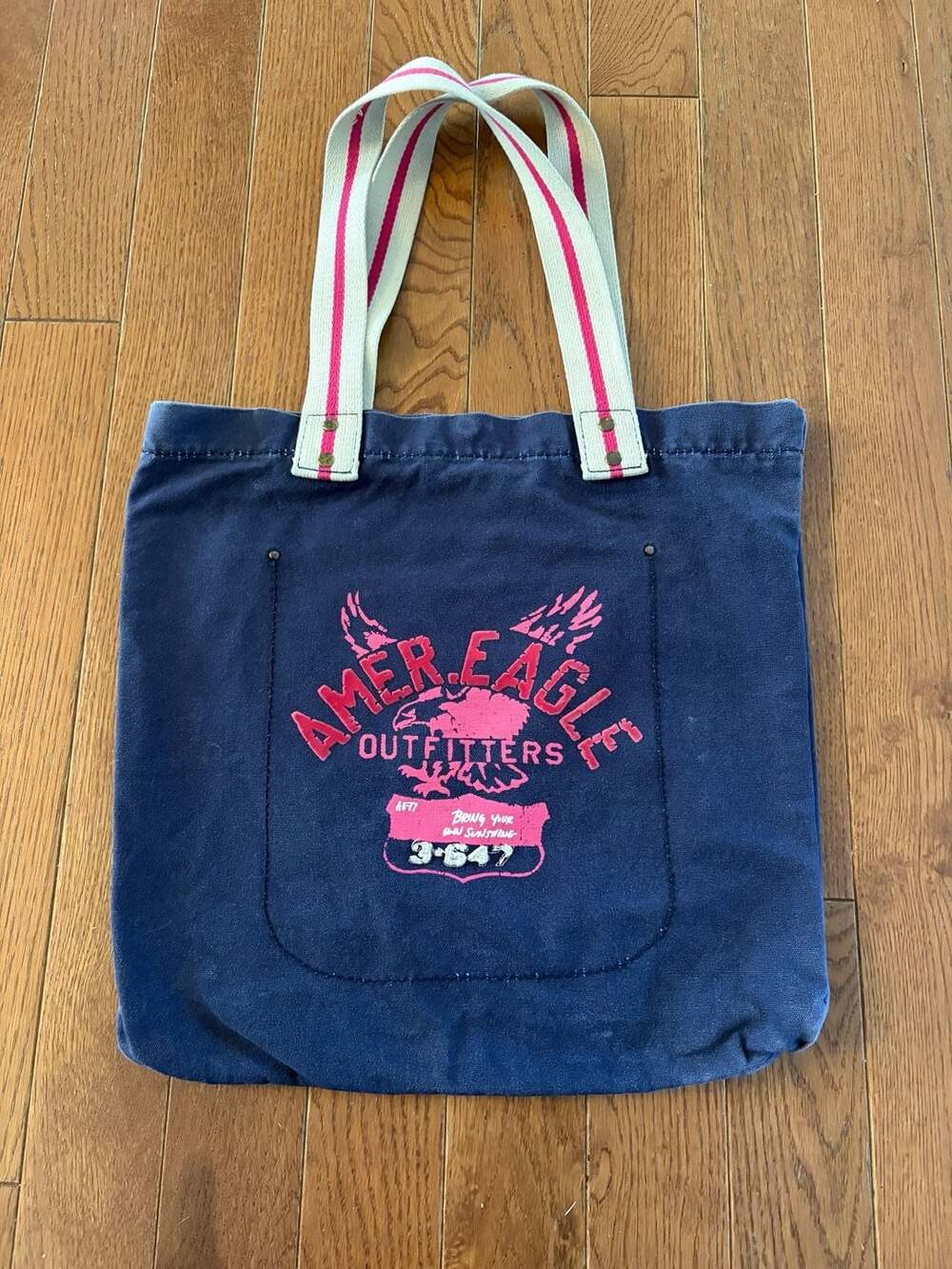 American Eagle Outfitters Canvas Tote Bag Blue Pink Striped Handles